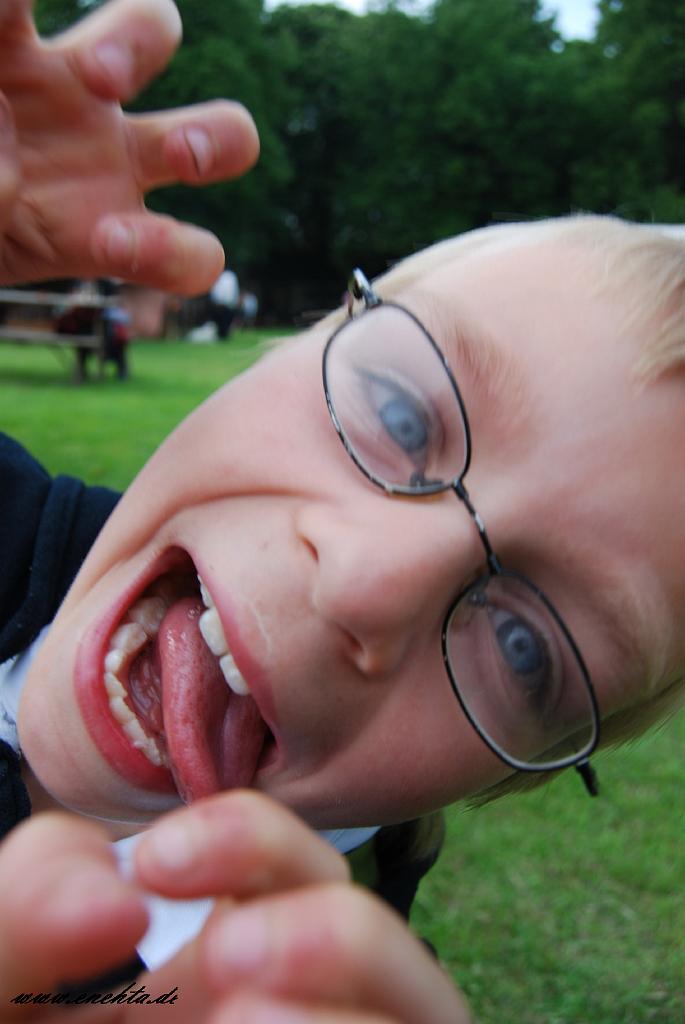 Mittelaltermarkt Dortmund-Hohensyburg vom 29.05.2010-140.jpg